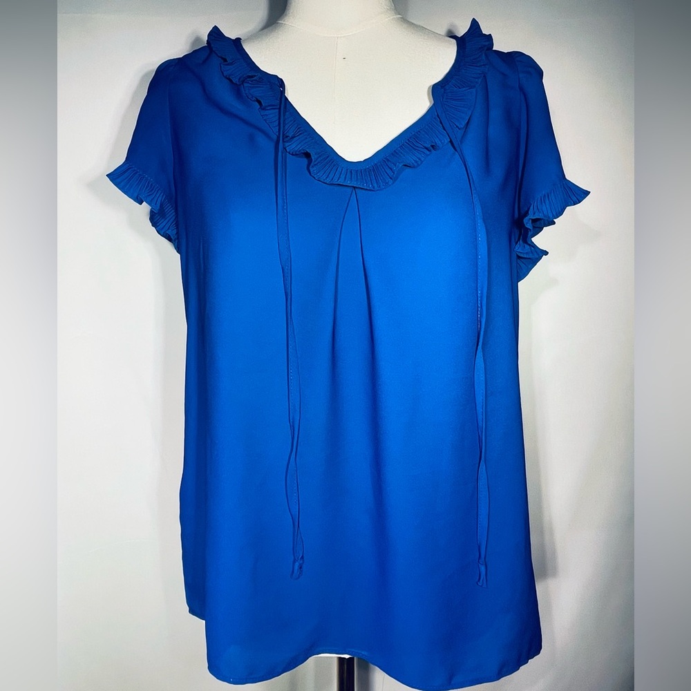 Max Studio Womens Ruffle Details Blouse Royal Blue M Size Small Corpcore Twee